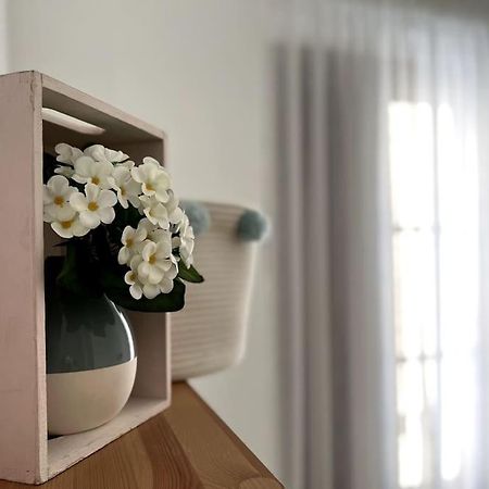 Apartamento Muy Centrico En Granada Ngoại thất bức ảnh