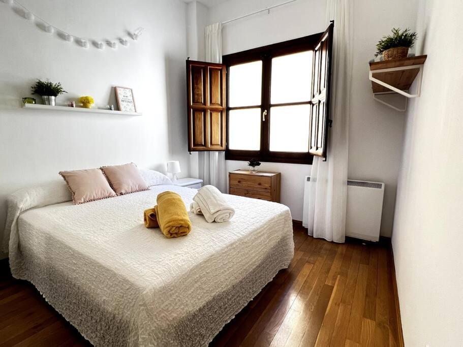 Apartamento Muy Centrico En Granada Ngoại thất bức ảnh