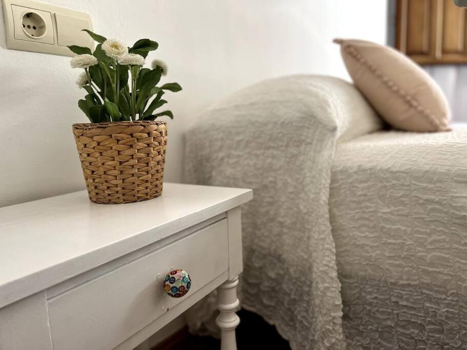 Apartamento Muy Centrico En Granada Ngoại thất bức ảnh