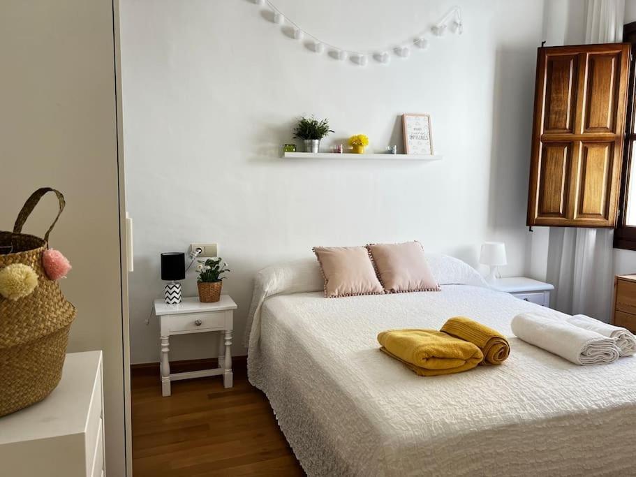 Apartamento Muy Centrico En Granada Ngoại thất bức ảnh